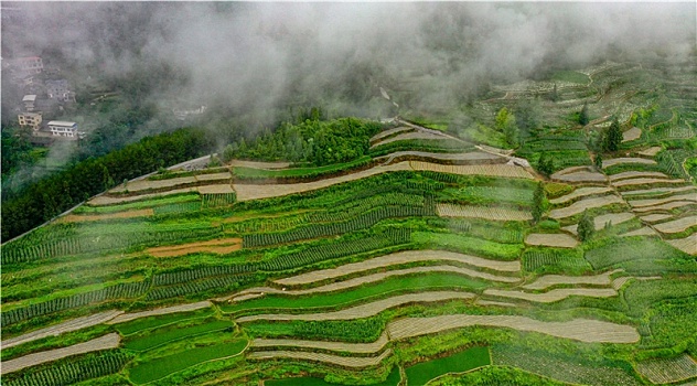 重庆酉阳乡村雨中梯田美