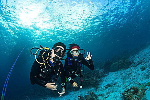 印度尼西亚,南,苏拉威西岛,省,瓦卡托比,群岛,海洋,保存,潜水