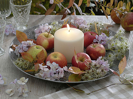 秋天,杯子,苹果,白色,蜡烛