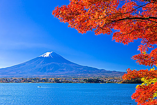 山,富士山,秋叶,湖