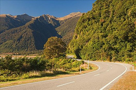 山谷,道路,南岛,新西兰