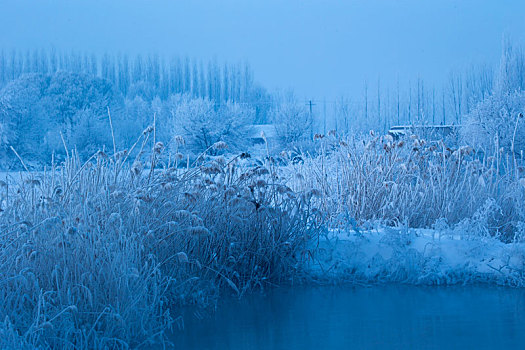 冰雪,世界