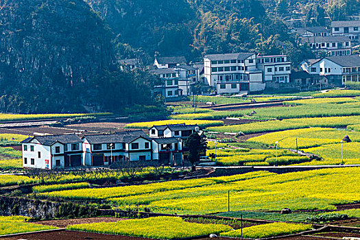 万峰林农村地区