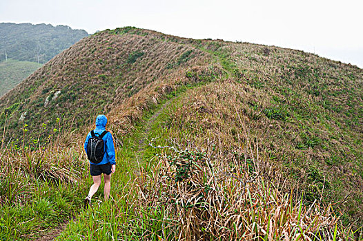 后视图,女人,远足,巴西