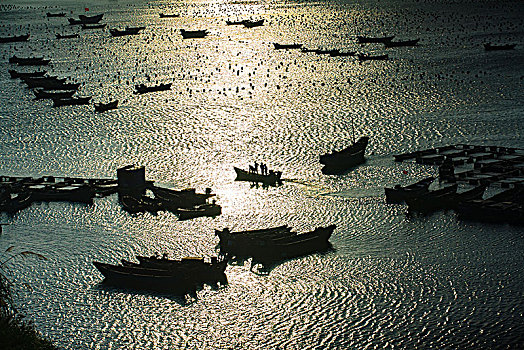 海湾,船,阳光,海岸,停泊,航行,港湾