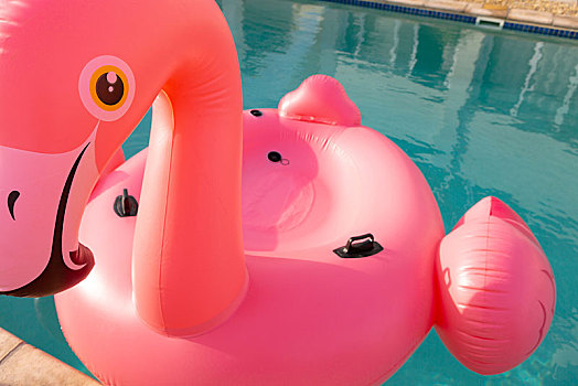 粉红火烈鸟,鸟,形状,充气圈,漂浮,游泳池