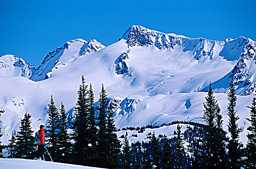 滑雪者,山,背景,不列颠哥伦比亚省,加拿大