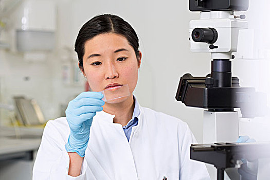 女性,科学家,工作,实验室,显微镜