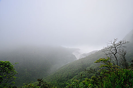 大明山