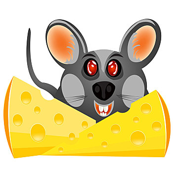 幼仔,老鼠,奶酪