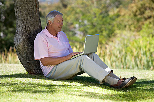 老人,坐,树,笔记本电脑