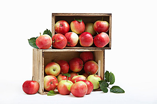 木头,板条箱,新鲜,苹果