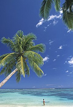 天堂海滩,乌波卢岛,岛屿,萨摩亚群岛