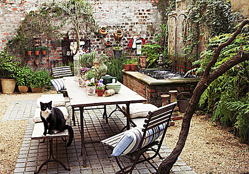 浪漫,室内,院落,植物,喷泉,桌子