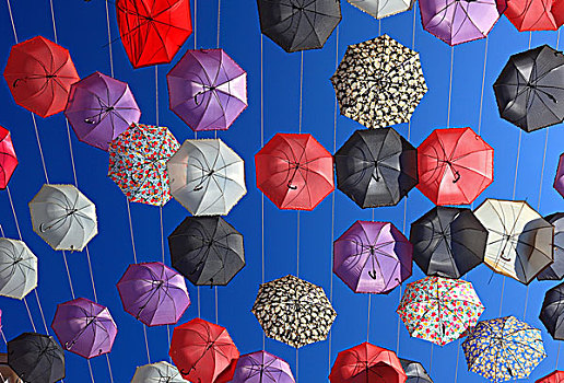 伞,街道,装饰,意大利,欧洲