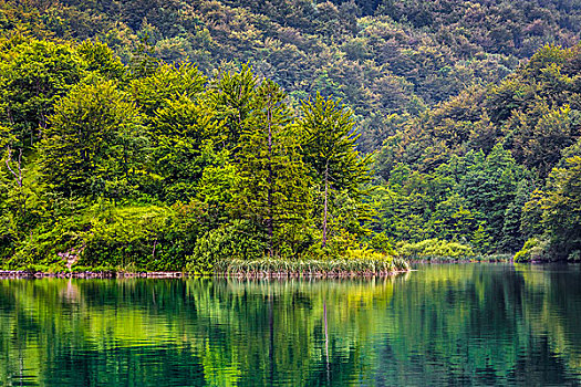 安静,风景,树林,反射,湖,十六湖国家公园,克罗地亚