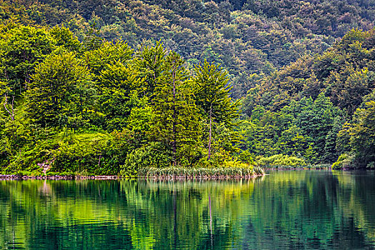 安靜,風景,樹林,反射,湖,十六湖國家公園,克羅地亞