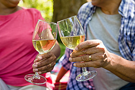 老年,夫妻,祝酒,葡萄酒杯,公园,中间部分