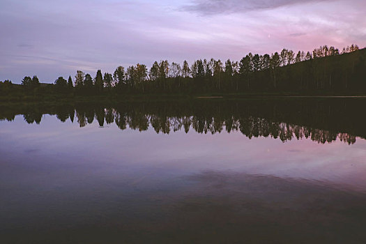 树林,河,俄罗斯