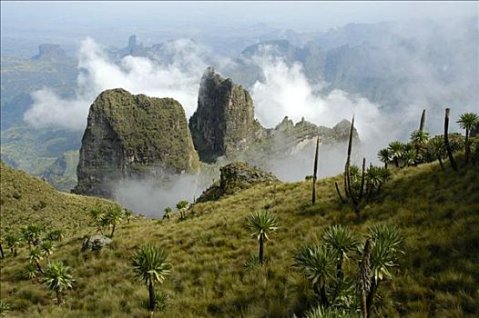 云,聚会,崎岖,山,巨大,山梗莱属植物,山峦,靠近,埃塞俄比亚