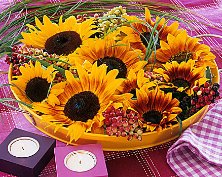 向日葵,绣球花,浆果,草,黄色,碗