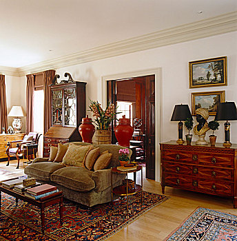 天鹅绒,橄榄,米色,沙发,坐,中心,客厅,大,地毯