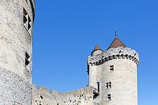 法国,塞纳河,旅游,中世纪,城堡,看,塔,左边,右边,地牢