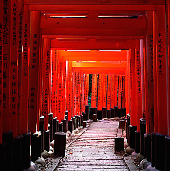 日本,京都,紅色,大門