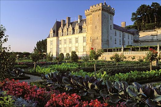 维朗德里城堡,法国,城堡,菜园
