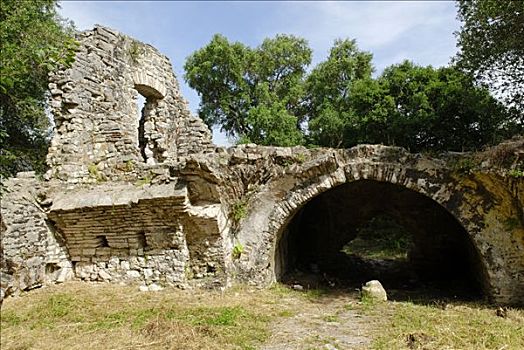 遗址,古老,考古挖掘,世界遗产,阿尔巴尼亚,欧洲