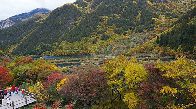 九寨沟风景之秋景