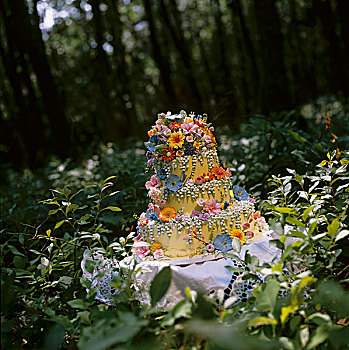 树林,婚礼蛋糕