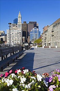 花,靠近,长椅,人行道,长,码头,波士顿港,波士顿,马萨诸塞,美国