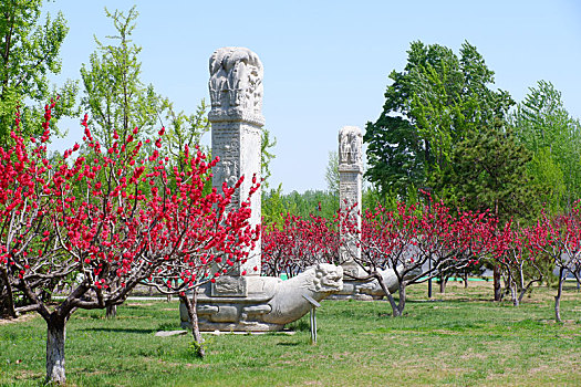 北京奥林匹克森林公园南园卫武家族墓