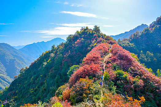 秦岭的秋