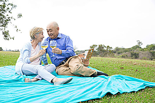 老年,夫妻,野餐,公园,拿着,葡萄酒杯