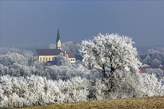 冬天,风景,白霜,教堂,巴伐利亚,德国
