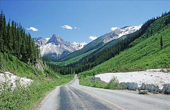 道路,幽鹤国家公园,不列颠哥伦比亚省,加拿大,北美