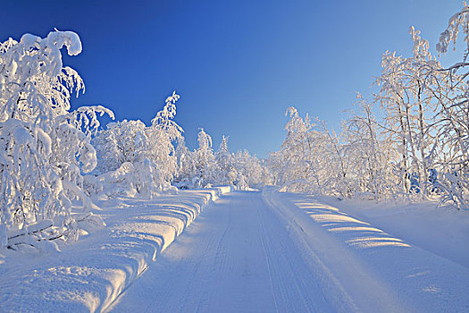 雪路,北方,芬兰