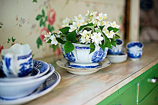 碗,茉莉,蓝色,白色,瓷器