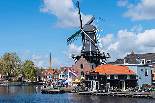 风车,河,哈勒姆,北荷兰,荷兰,欧洲