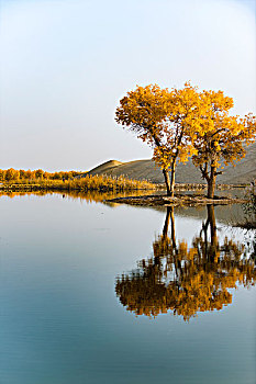 新疆秋景