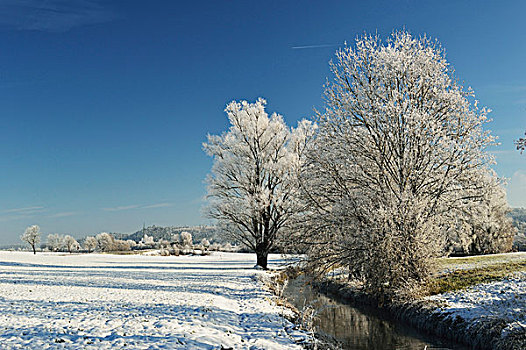溪,与蓝色的天空,在领域,在冬季,附近的,符腾堡,德国