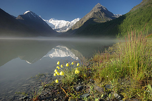 漂亮,山景,靠近,湖,高山湖,山地,水,山谷