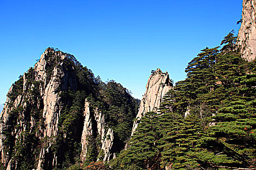 山,树木,岩石