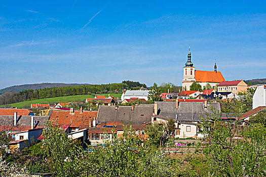 圣母升天大教堂,地区,区域,摩拉维亚,捷克共和国,欧洲