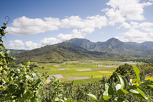 山谷,考艾岛