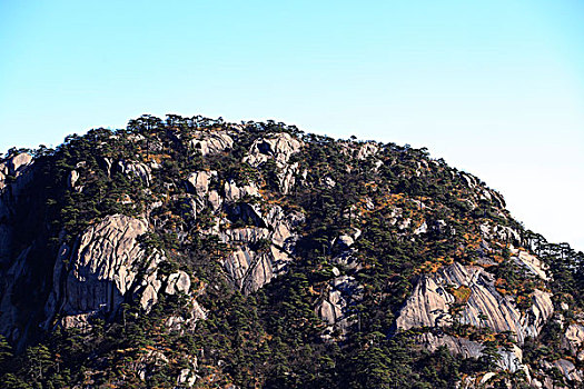 山,树木,岩石