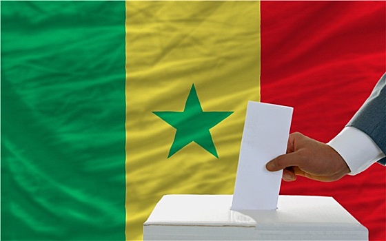 男人,投票,选举,塞内加尔,正面,旗帜