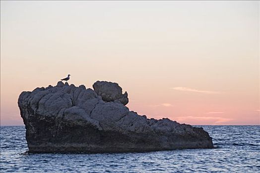 峻岸,塞浦路斯